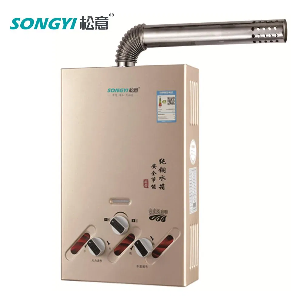 Camping Geyser Intelligent Tankless Gas Water Heater Indoor Heating