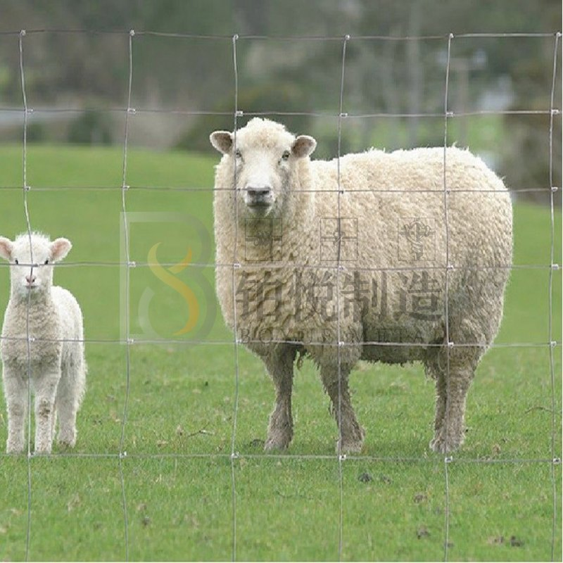 Farm Fence/ Field Fence/ Cattle Fence High Tensile/ Hinge Joint / Fixed Knot