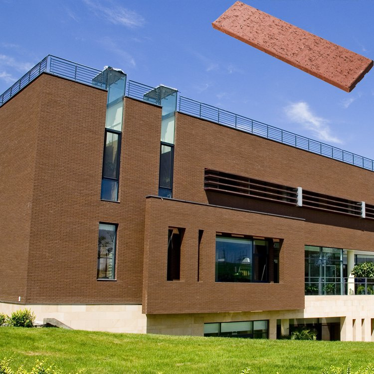 Red Lion Exterior Wall Brick Exterior Wall Cladding Dry Hanging Clay Bricks Terracotta Brick Type Tiles Matte Clay Backyard Brick Wall