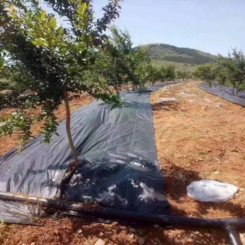 Customized Size Non Woven Agricultural Landscape Grass Proof Geotextile