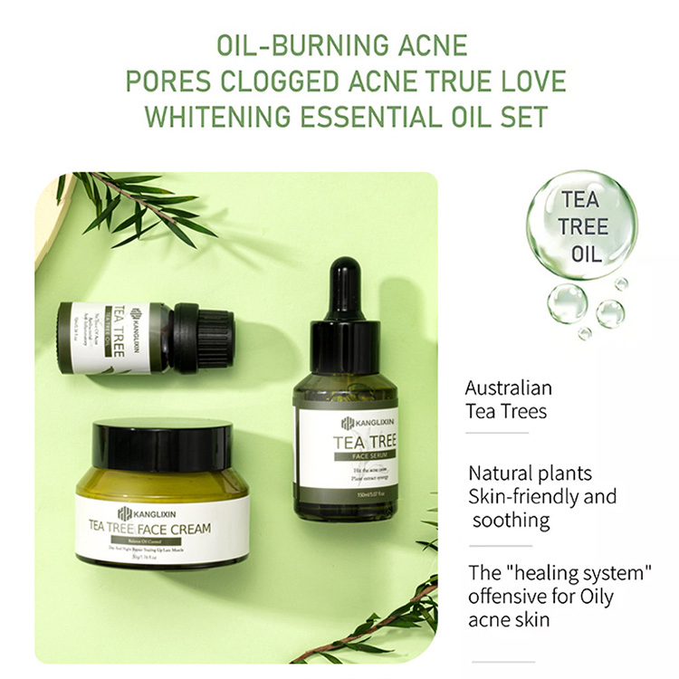 Wholesale Private Label Skin Care Anti Acne Tea Tree Face Oil Facial Serum Skincare Cream