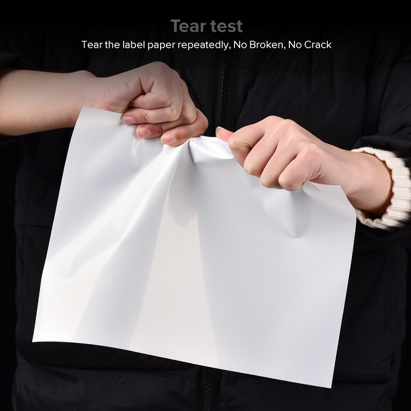 Good Price A4, OEM Polyester Rightint Carton Shanghai Glossy Sticker Paper Pet Vinyl Film