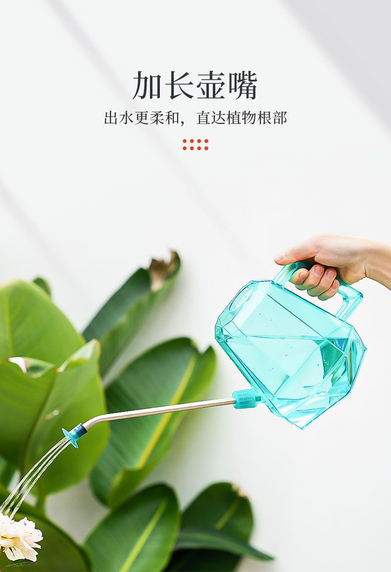 Stylish Indoor Plant Watering Spray Bottle for Care