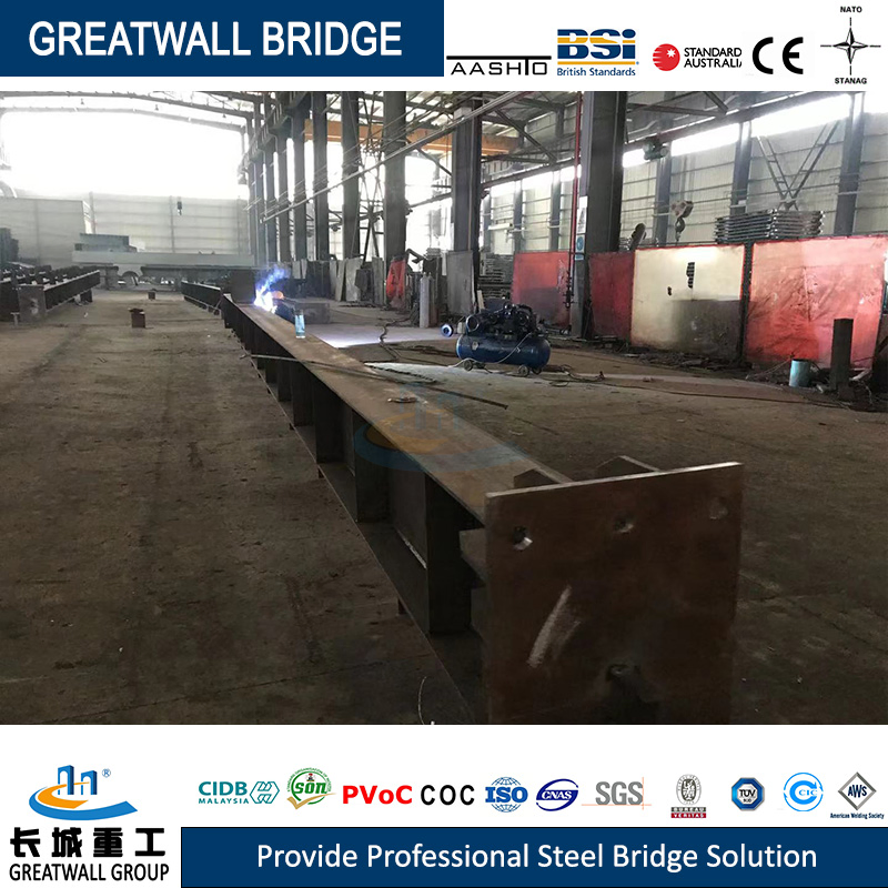Steel Structure Construction Arch Bridge From China with Low Cost