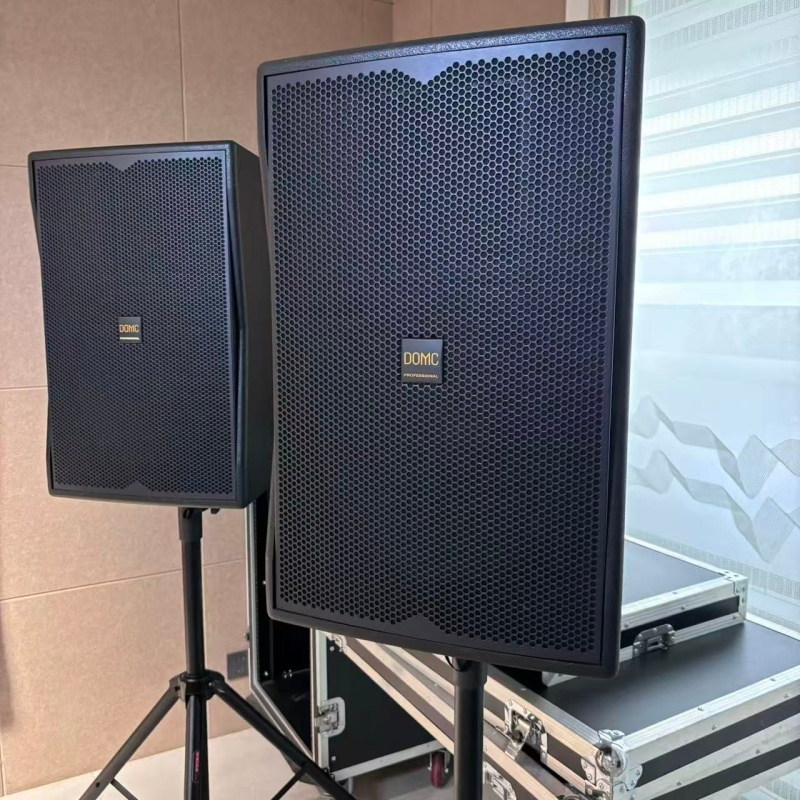 Domc K215 15-Inch Speaker Featuring 99dB Sensitivity and 127dB Peak