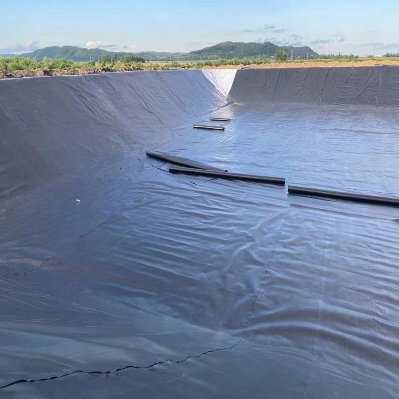 High-Quality LDPE Geomembrane for Durable Water Containment Solutions