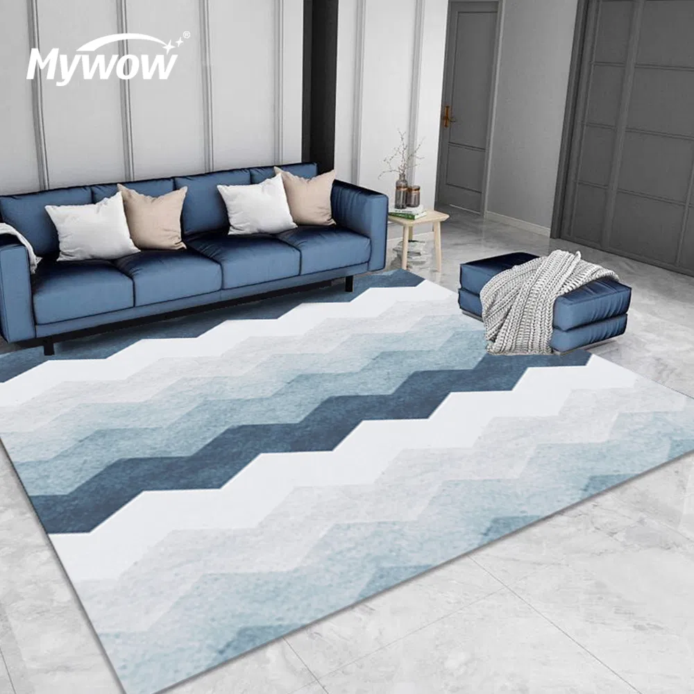 Antibacterial &amp; Absorbent &amp; Soft Floor Carpet for Living Room