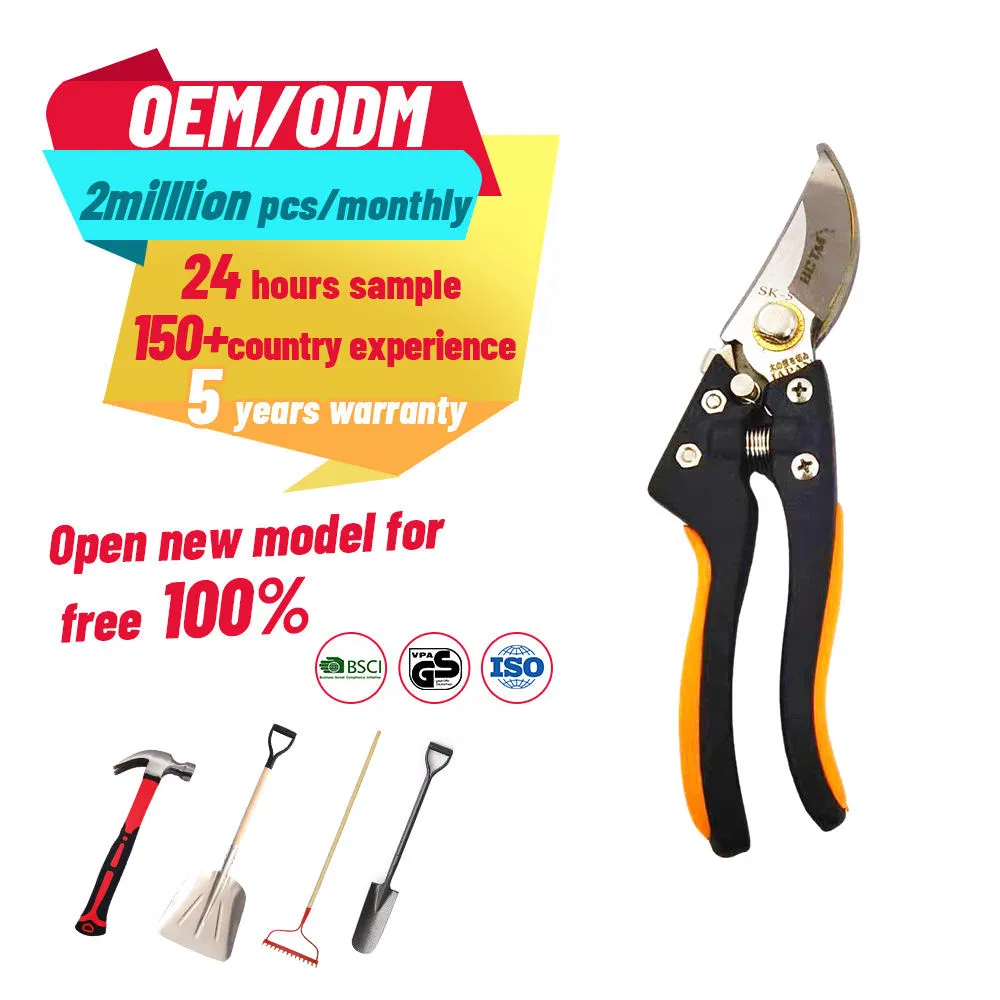 Premium Garden Bonsai Pruning Shears for Effortless Care