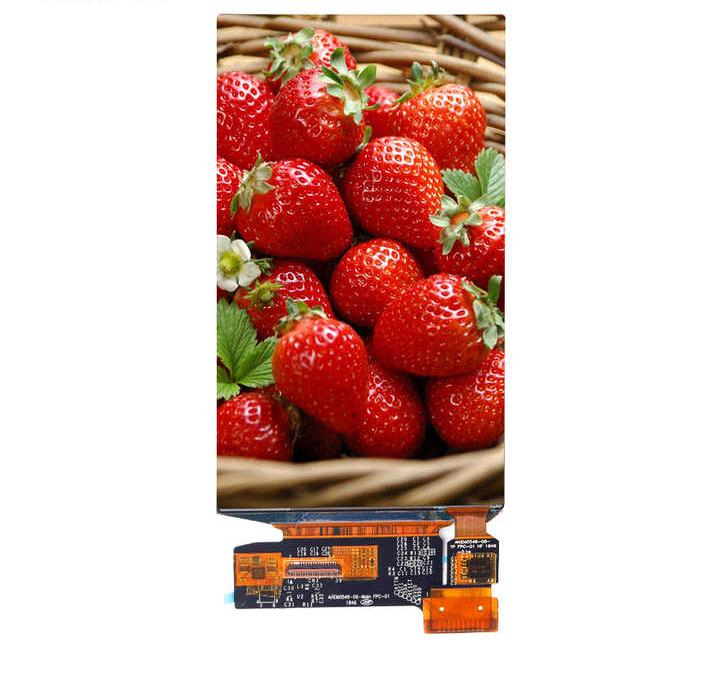 Дисплей AMOLED 5.5 дюймов, Full HD, сенсорный