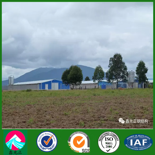 China Supplier of Steel Structure Chicken Poultry