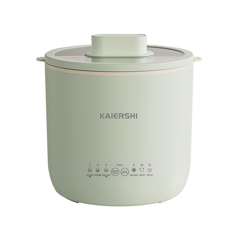 1.6L Intelligent Visual Egg Boiler and Electric Cooker