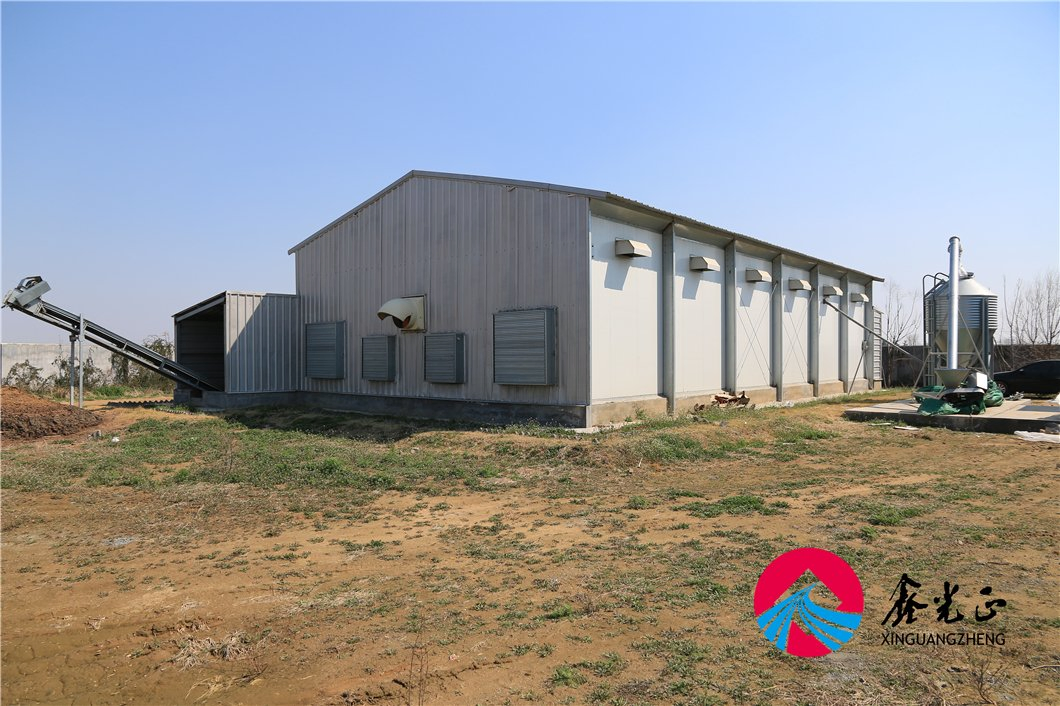 Spacious Durable Steel Chicken House for Optimal Egg Production