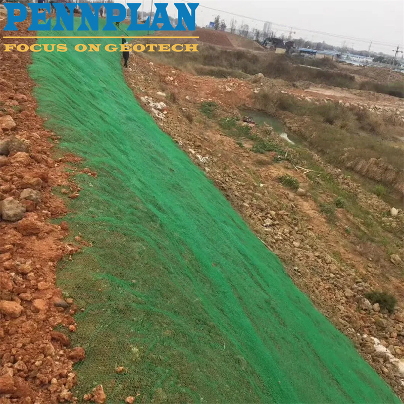 Green Grass Plastic Mat Geomat for Soil Erosion Control
