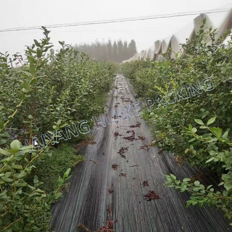 PP PE Material Plastic Weed Control Mat Weed Barrier