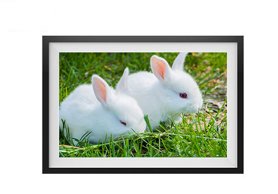 15.6 Inch WiFi Touch Video Nft Digital Photo Picture Cuadros Bilderrahmen LCD Cloud Frameo Digital Photo Frame