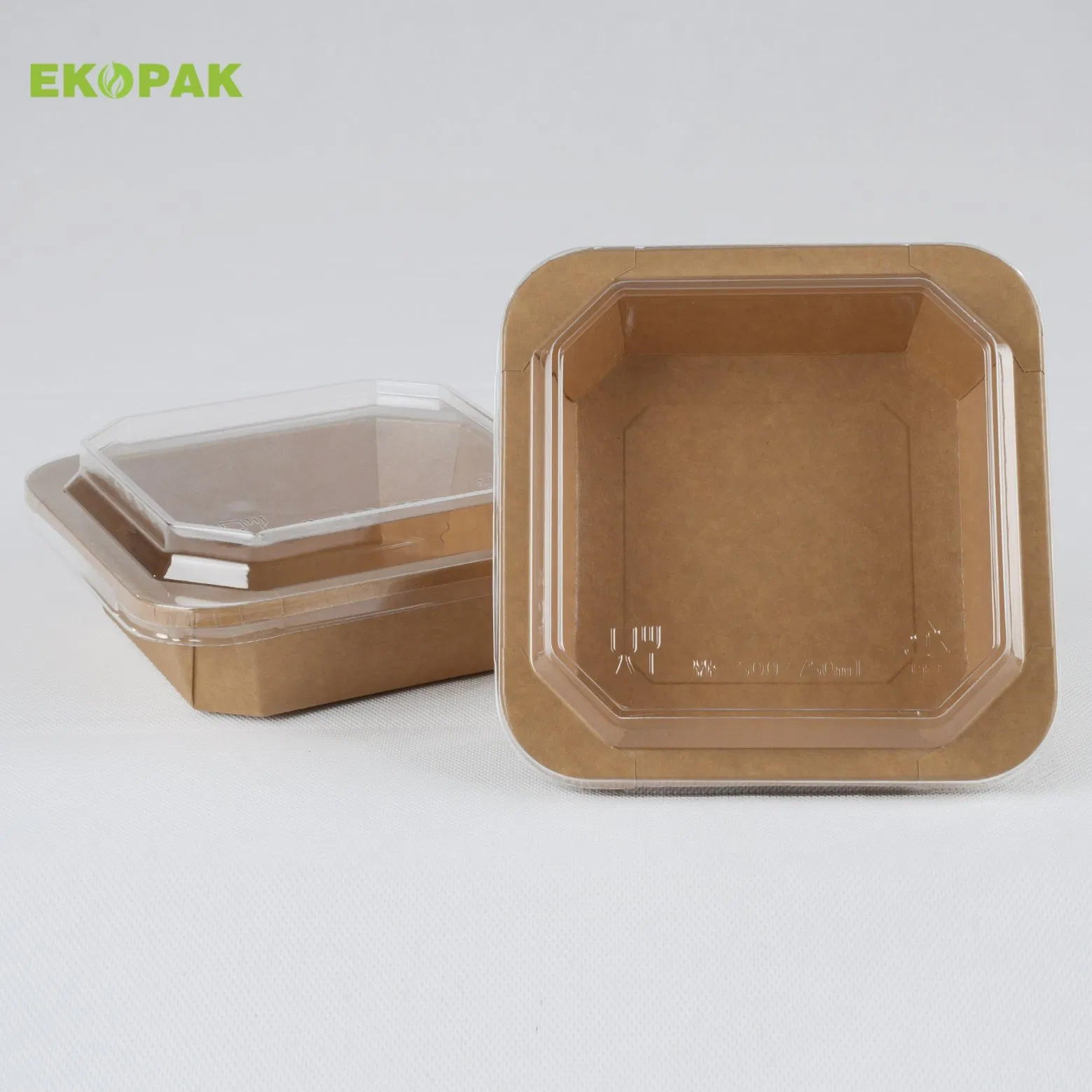 Custom Logo Compostable Disposable Takeaway Salad Bowl with Lid