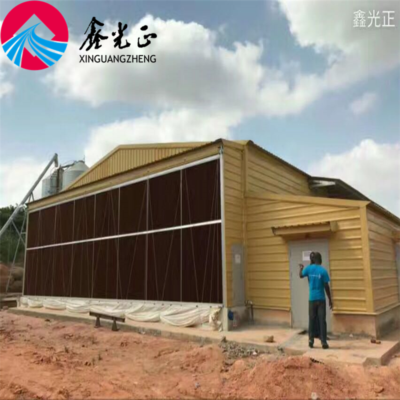Automatic Chicken Egg Laying Cage for Poultry Farm House