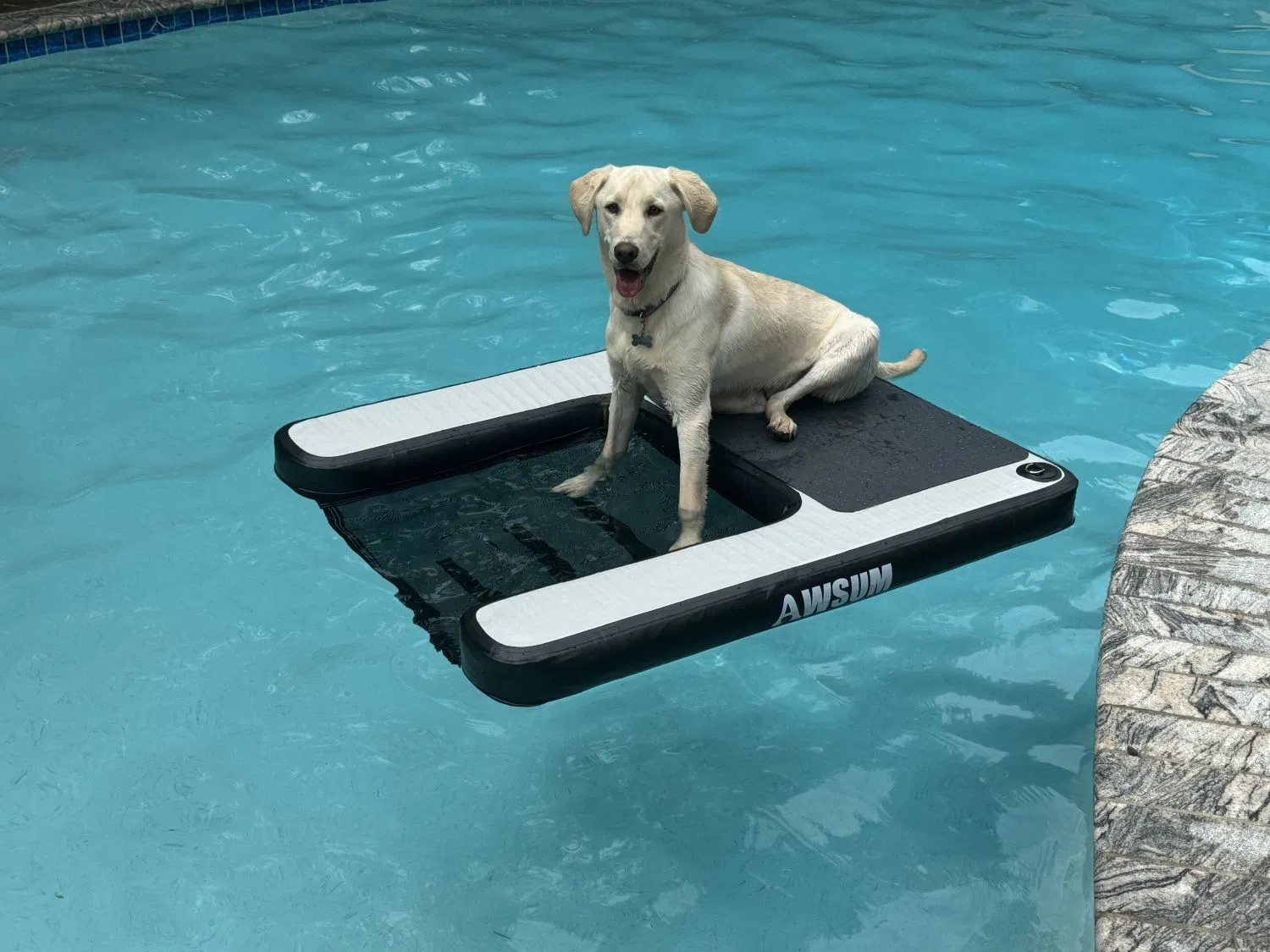 Dwf Inflatable Dog Ramp Inflatable Floating Dog Docks Water Ramp Floats Ladder