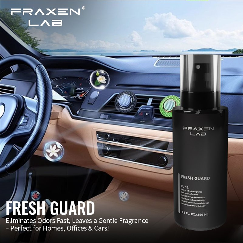 OEM/ODM 250ml All Purpose Air Deodorant Air Freshener with Different Fragrance for Home and Car Care