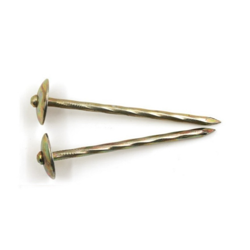 Customized All Size and Packaging for Galvanized Screw Shank Roofing Nail with Umbrella Head