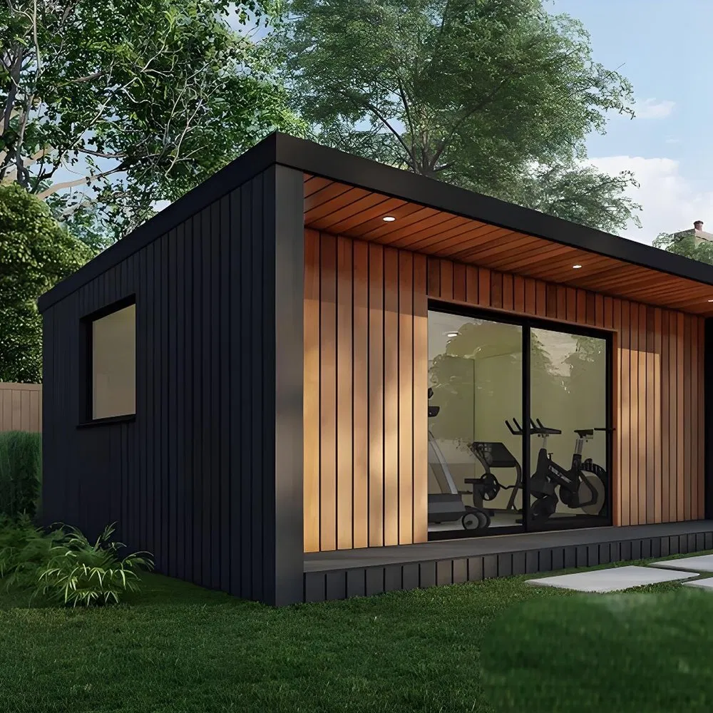 Инфракрасная сауна из массива дерева BD-JX01 с панелью управления