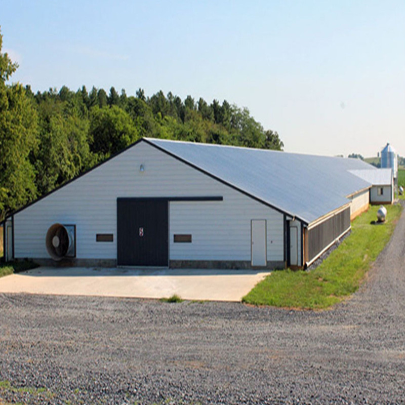 Prefabricated Steel Frame Structure Prefab Chicken House in Poultry Farms