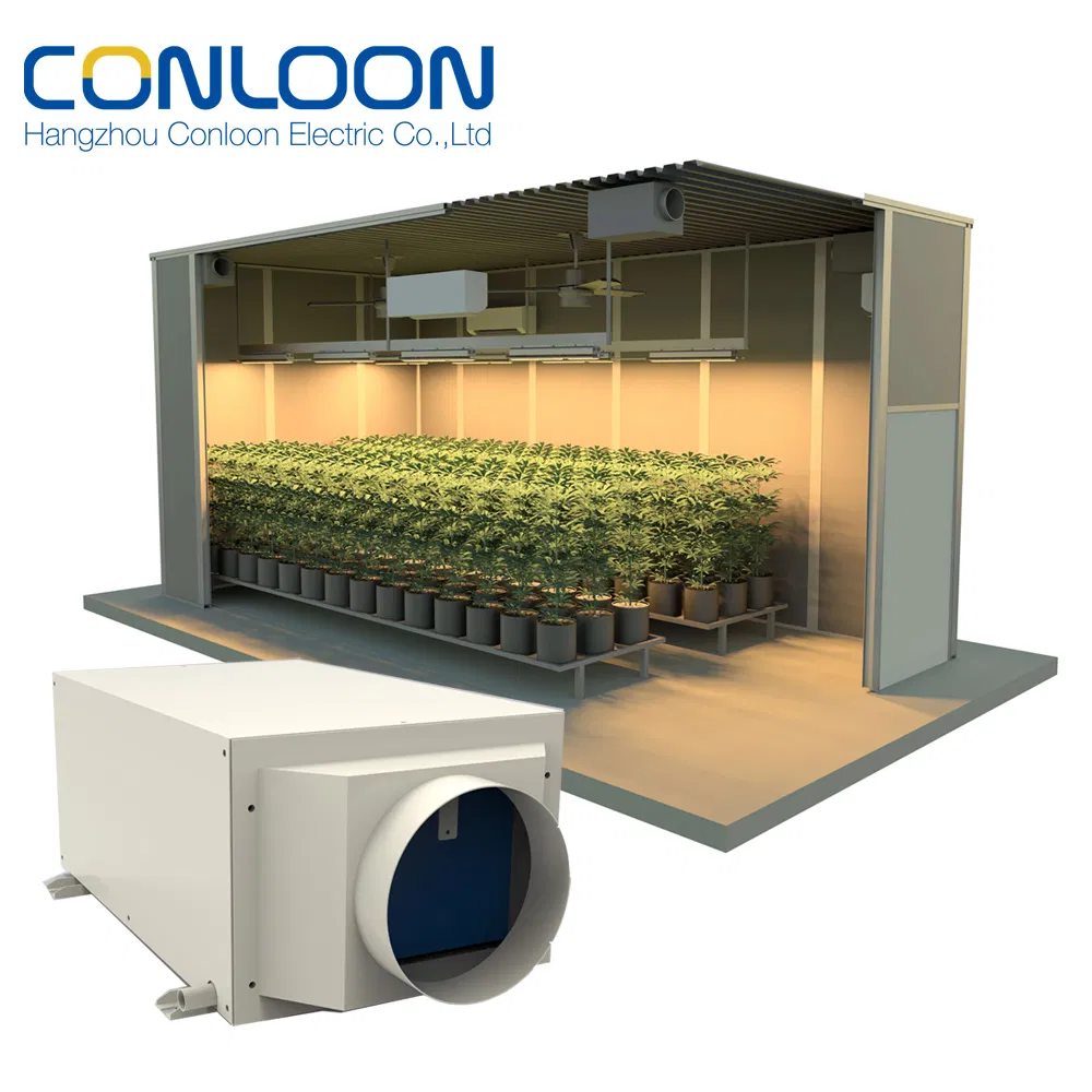 Clg-20 Practical Ceiling or Wall Mounted Pipe Dehumidifier