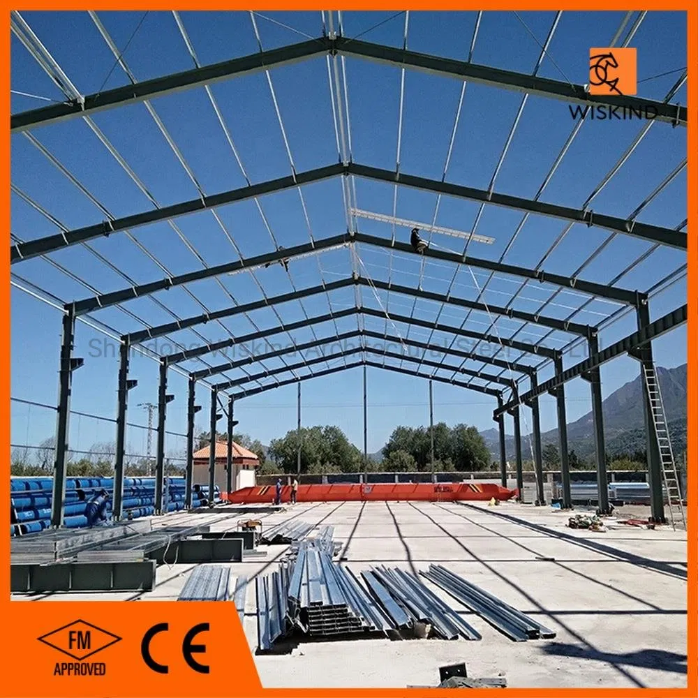 High Quality Prefabricated Building Material Steel Shed/Building/Warehouse/Workshop Steel Structure