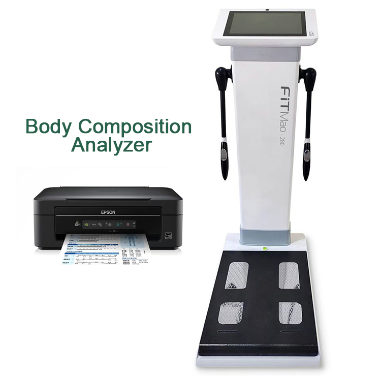 Fitness Equipment BMI Body Composition Scale ABS 3D Body Analyzer Multi-Frequency Bioelectrical Impedance Fat Composition