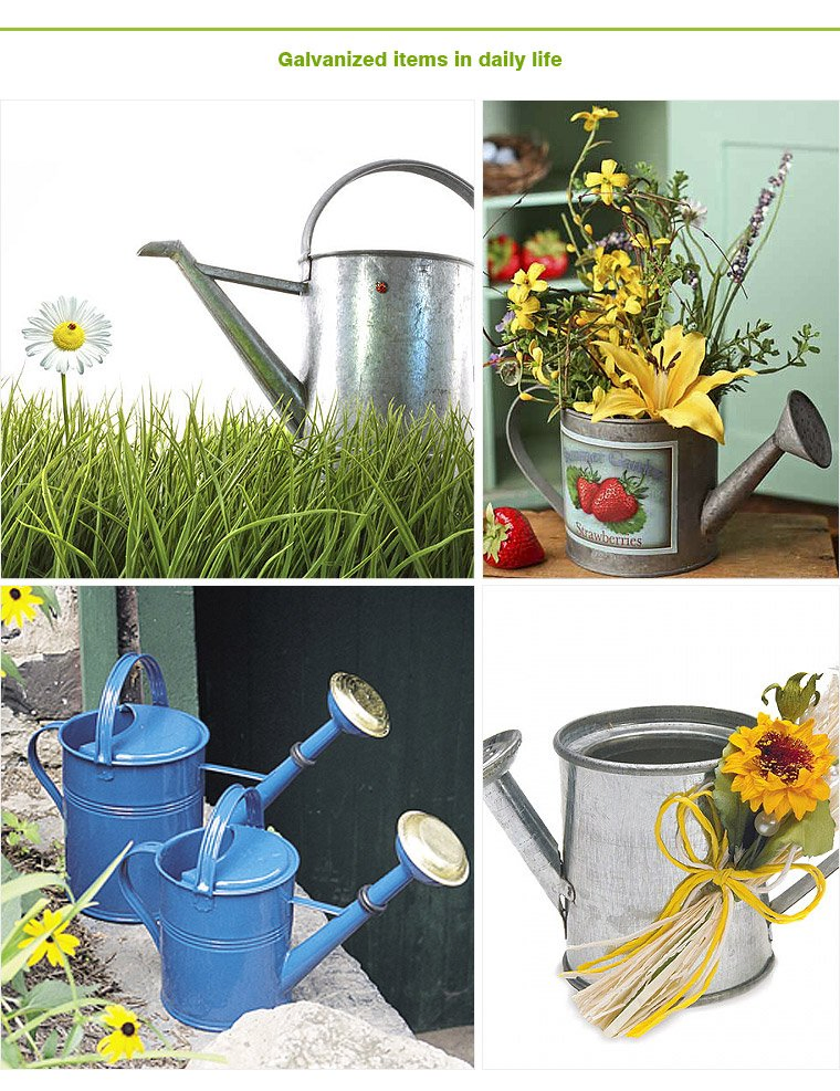 Indoor Gold Stainless Steel Easy Pour Long Spout Watering Pot Watering Can