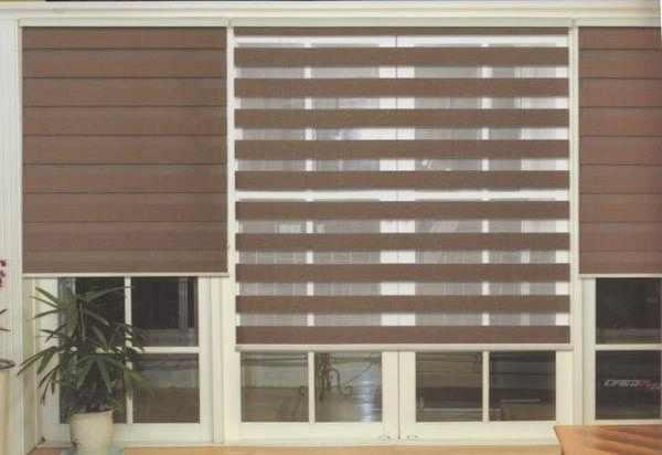 Automatic Beautiful Zebra Blind Open Freely