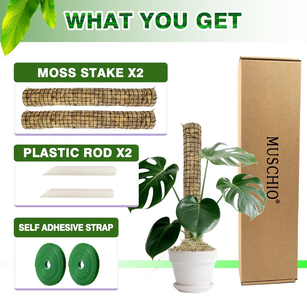 Breathable Moisturizing Sphagnum Moss Pole for Tropical Climbing Plants Aerial Root Development & Fiddle-Leaf Fig