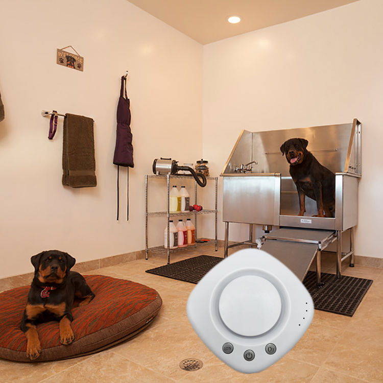 Small Plasma Ion Ozone Air Purifier for Indoor Use