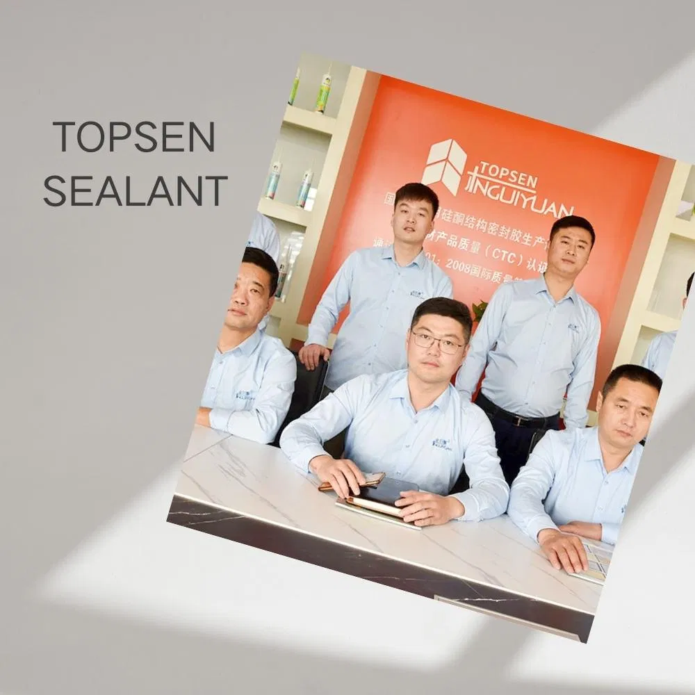 Topsen Building Glass and Bath Utensils Neutral Weatherproof Mildewproof Silicone Sealant