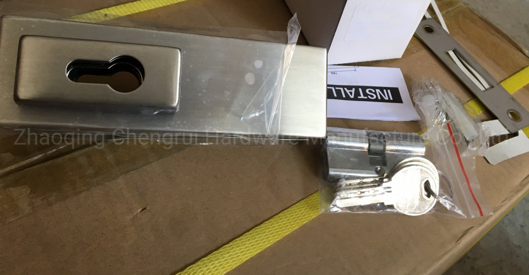 Stainless Steel Hydraulic Frameless Glass Door Patch Fitting with Door Lock