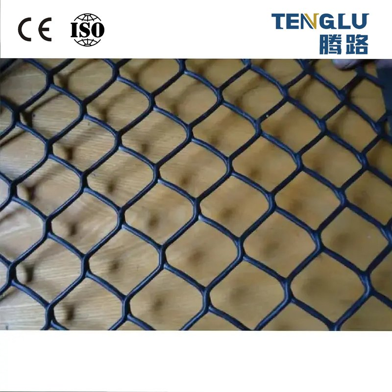 High Quality HDPE Plastic Geonet Drainage for Road Construction and Landfill Site