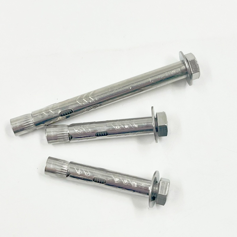 Ss 304 Stainless Steel Wedge Expansion Anchor Wedge Expansion Anchor Bolt