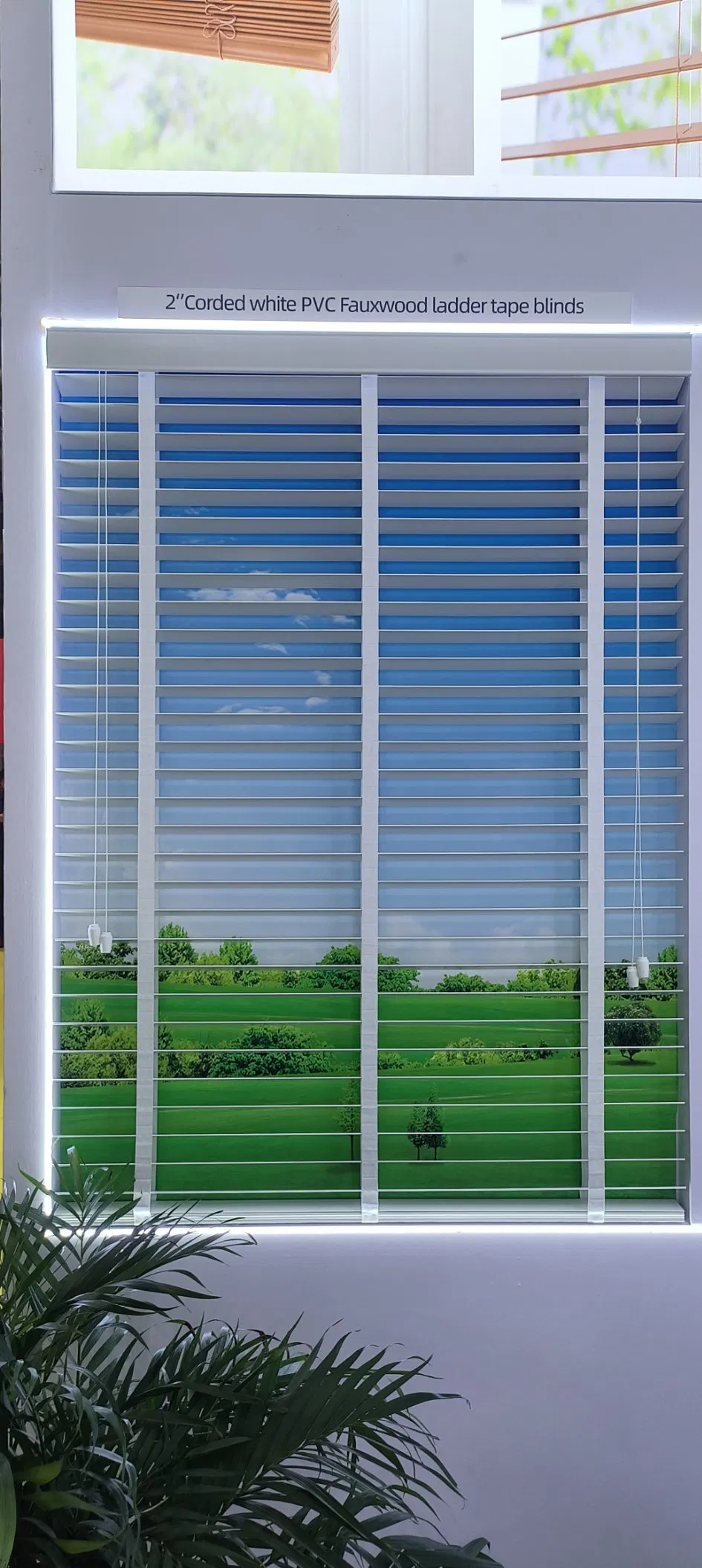 Pull Cord Venetian Blinds for Home