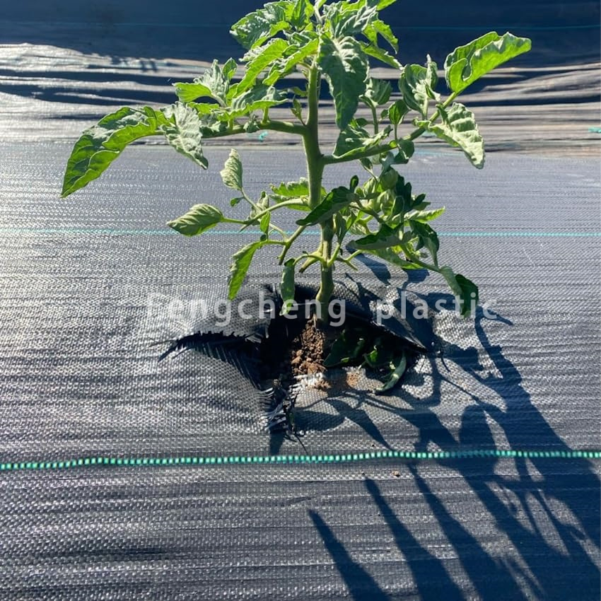 Weed Blocker Barrier Black Weed Control Mat for Ground