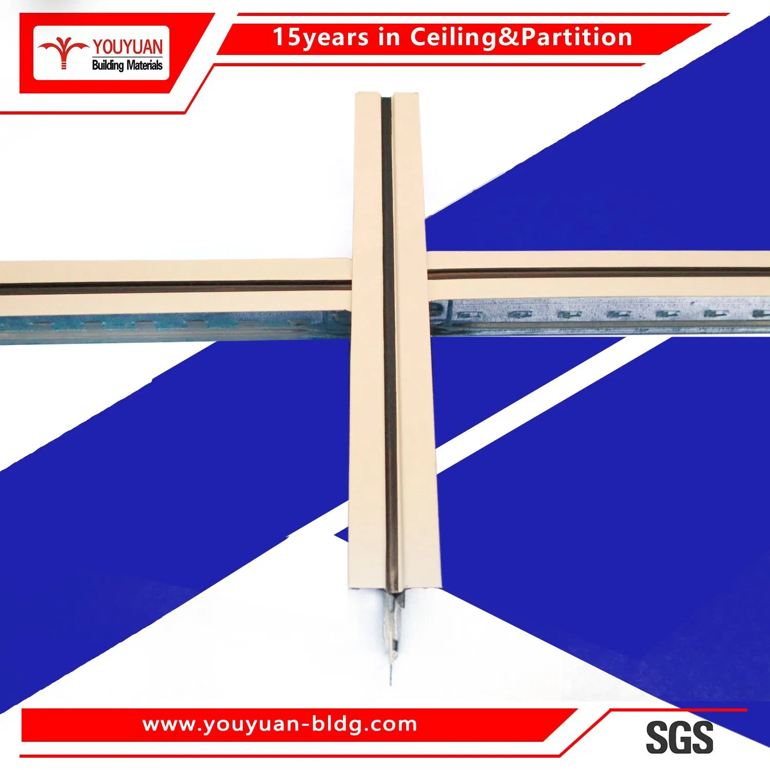 Iron Suspended Ceiling Price with T Grid Installation
