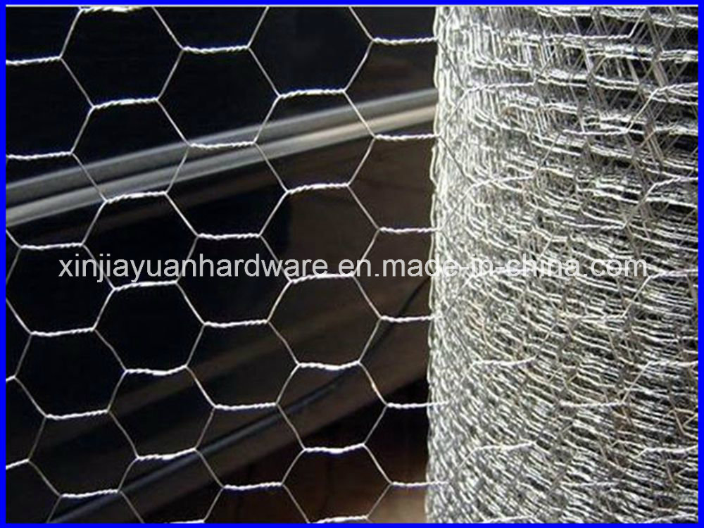 Galvanized Hexagonal Wire Mesh/Chicken Wire Netting