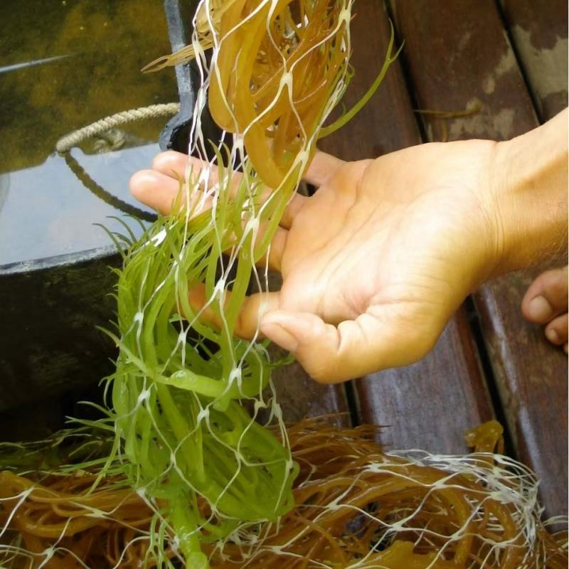 Сетка для упаковки морепродуктов, дышащая