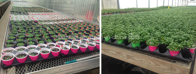 Cheap Thermoforming Plastic Succulent Ruond Flower Pot Black Garden Planter