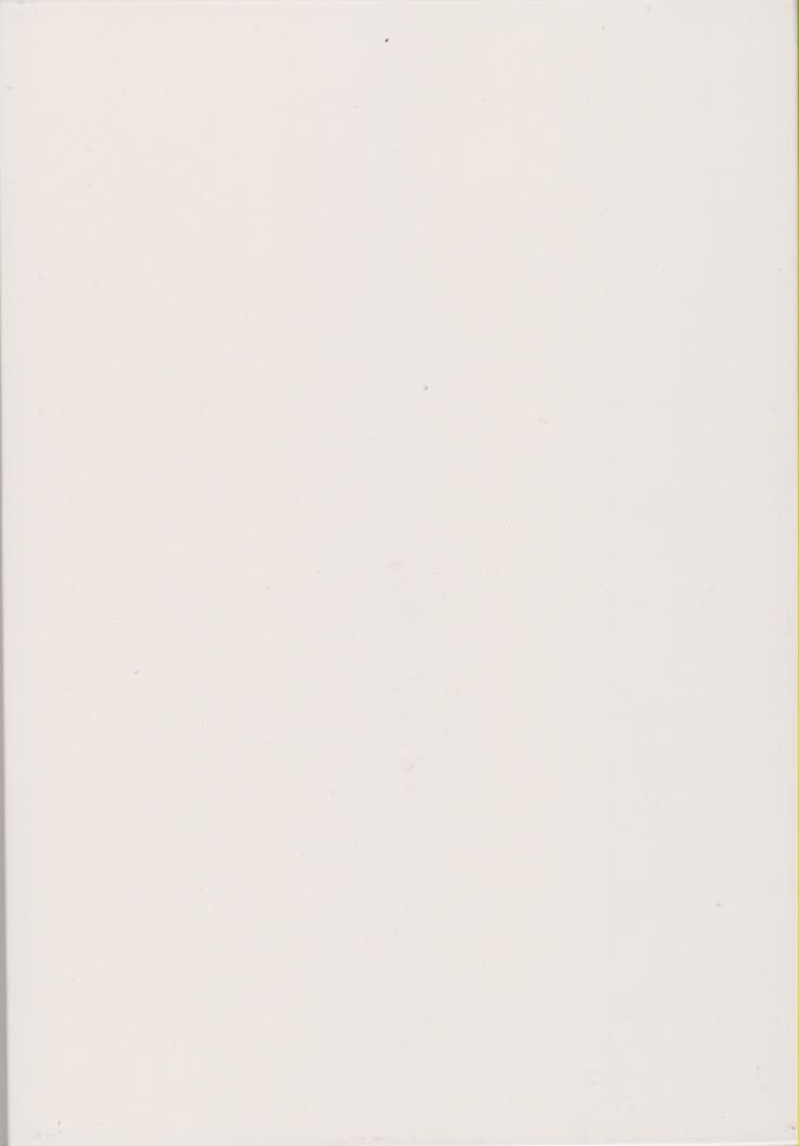 Fiber Cement Board--UV, Fluorocarbon Decorative High Density Panel