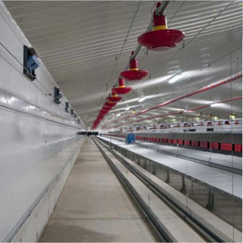 Energy-Efficient Prefabricated Steel Structure Chicken House -Insulated Chicken Stee Housing for Harsh Weather