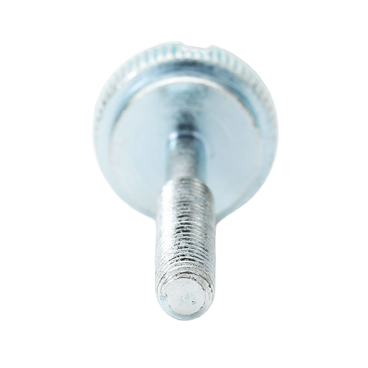 Custom Fastener Metal Special Slotted Machine Knurled Head Thumb Screws with Shoulder