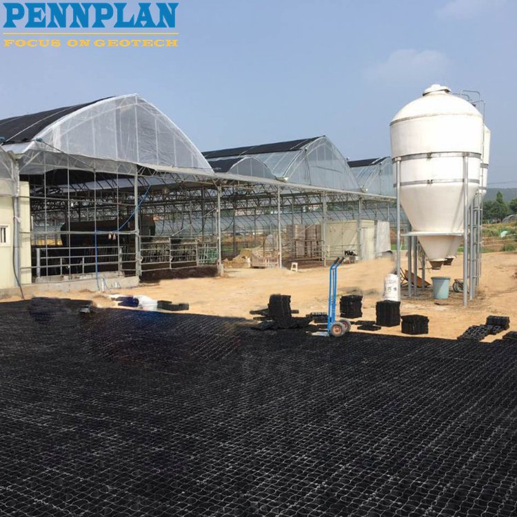 High Quality New Material Black HDPE Plastic Planting Grass Paver Grid