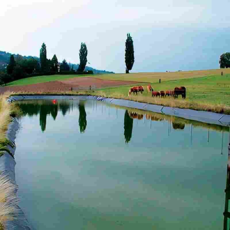 1mm 12 mm EPDM Waterproofing Membrane Geomembrane Dam Landfill Lake Biogas Mining Fish Shrimp Farm Pond Liner Swimming Pool Agricultural Agriculture