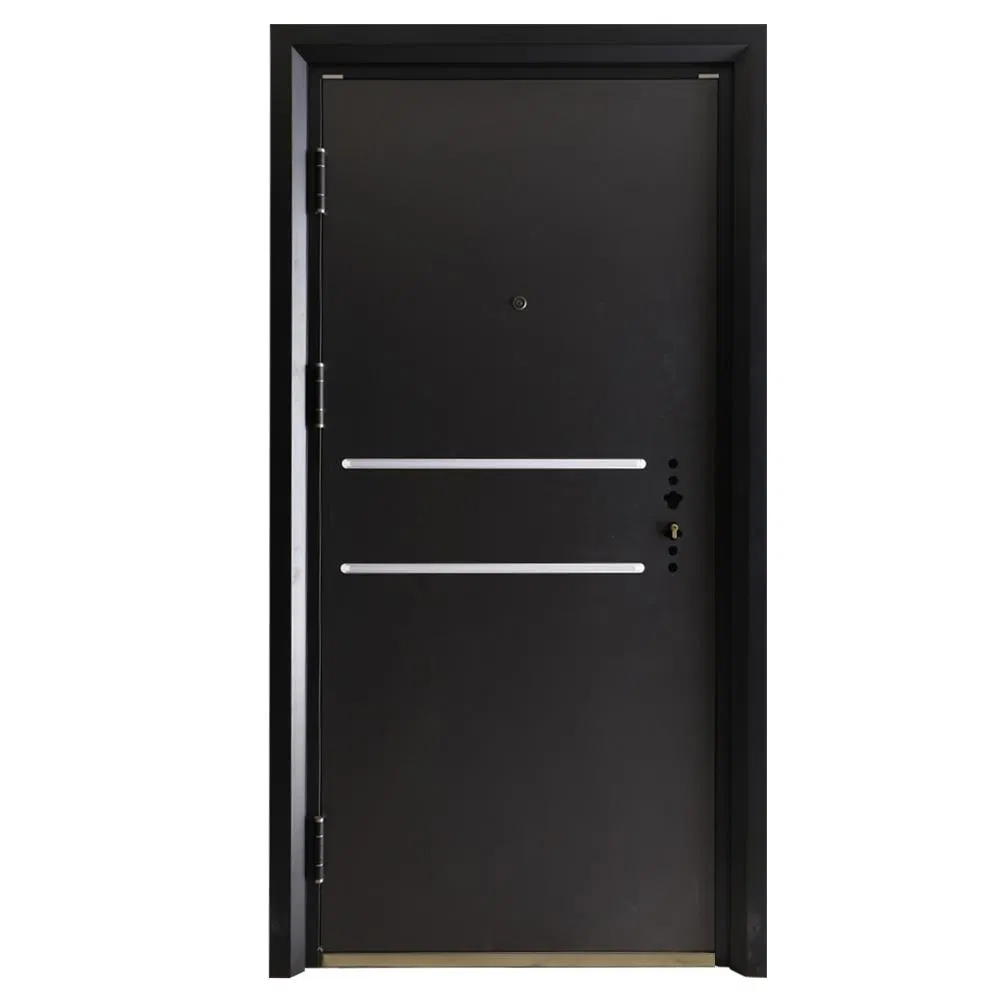China Factory Wholesale Modern Steel Door for House Entry