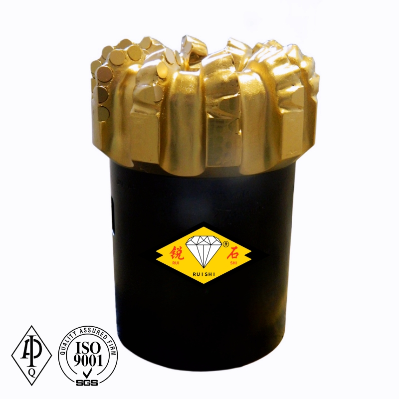 6 1/8'' 10 Blades Matrix Body Core Drilling Bits for Soil Investigation and Drill out Cylindrical Core Samples